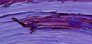 card-background-color-25.png